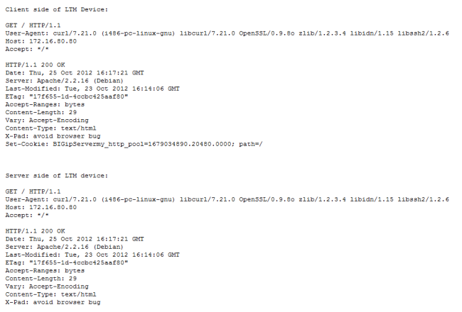 C:\Pasban Work\Cert Paper Exams\F5\F5 301b\crack\LTMB28p1.png