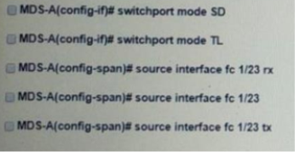 Text Description automatically generated
