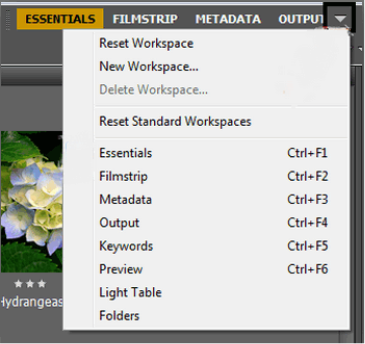 reset-standard_0002aL